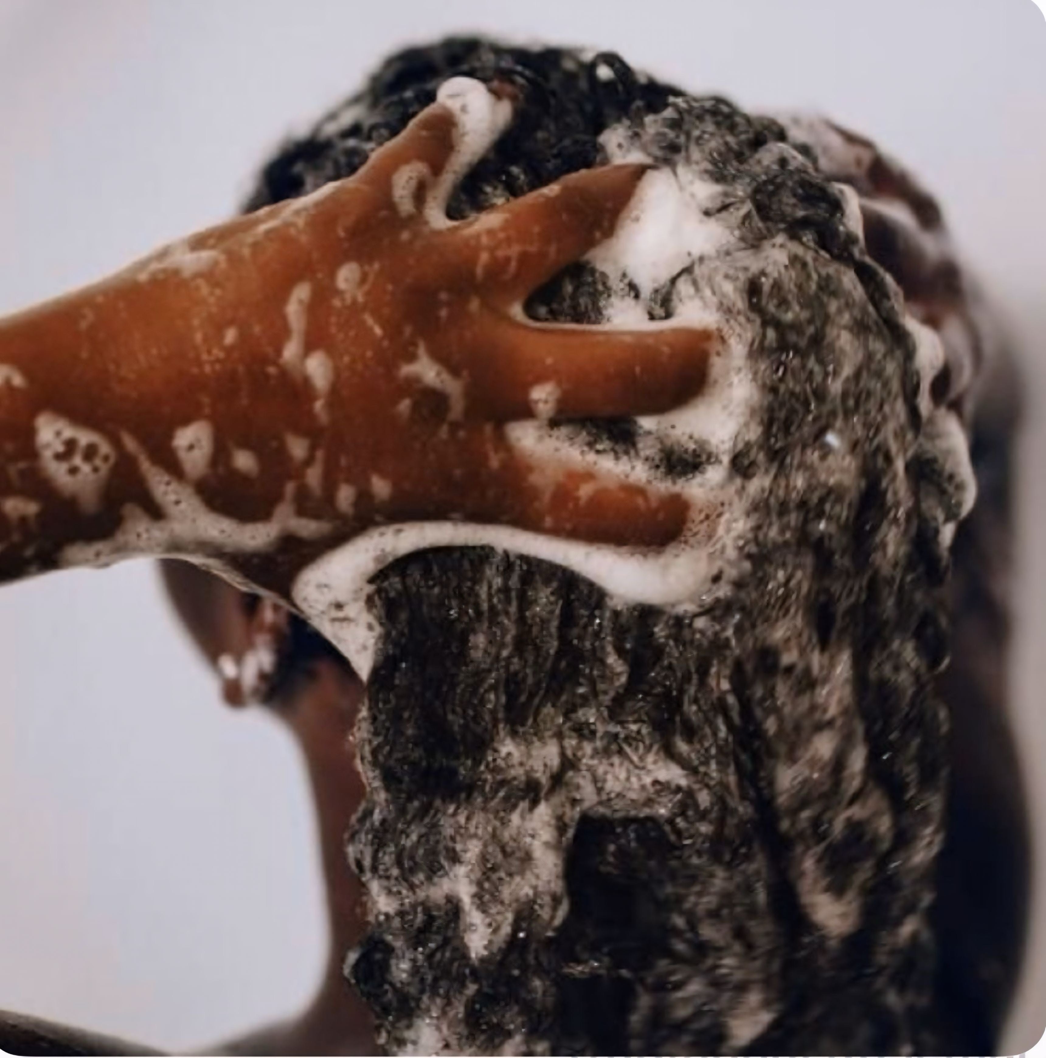 the evolution of hair care